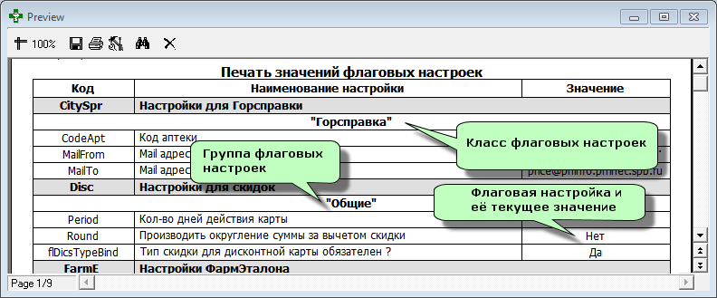 Печать значений флаговых настроек